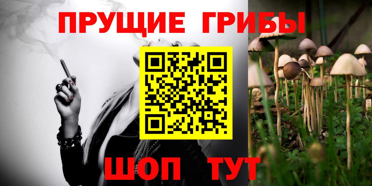 Псилоцибиновые грибы прущие грибы Лиски