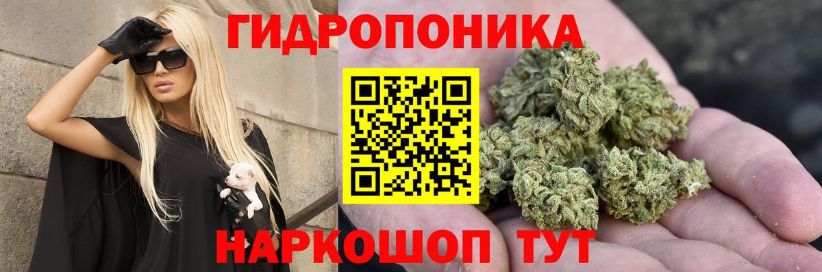 Конопля Bruce Banner Лиски